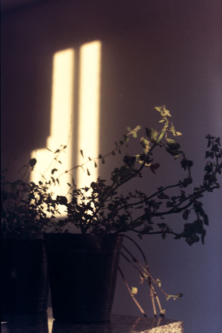 Casa- Pentax ME — fotografía de Nira Bokler