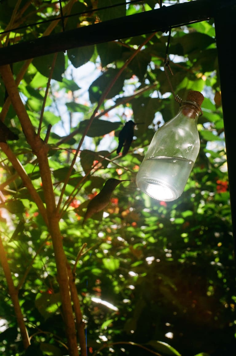 Iguazú- Pentax ME — fotografía de Nira Bokler