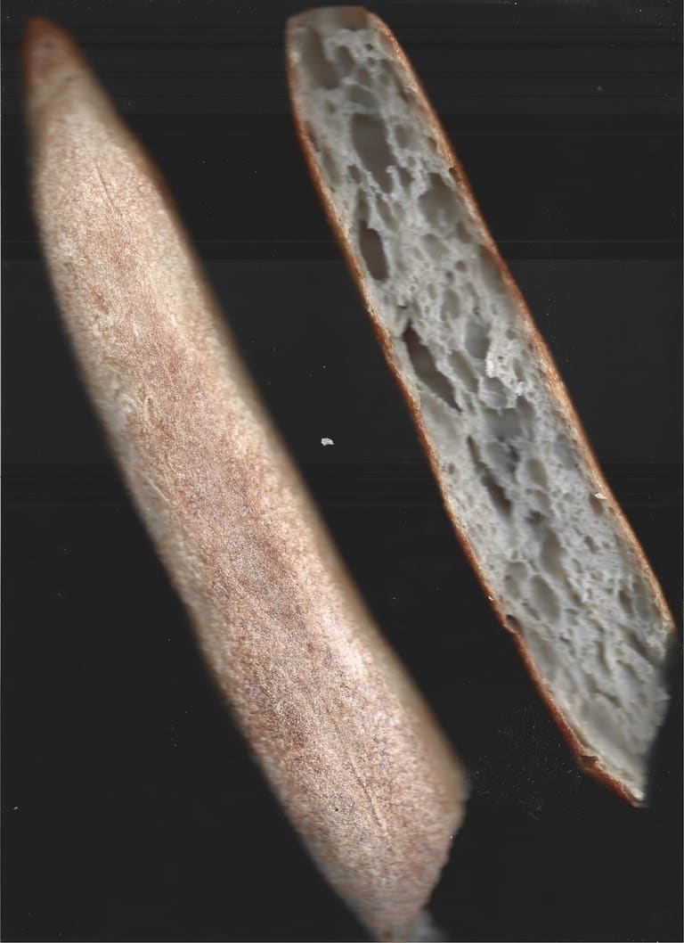 Scan — fotografía de Nira Bokler