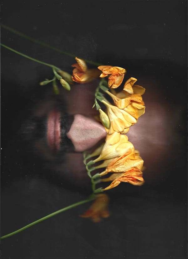 Scan — fotografía de Nira Bokler